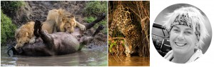 Pantanal och kenyasafari