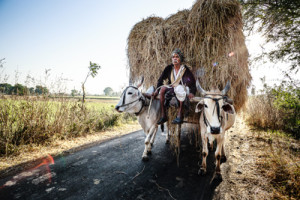 Gatufotografering Indien