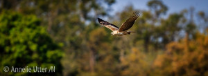 Kanha nationalpark