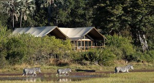 okavango Tubu Tree Camp