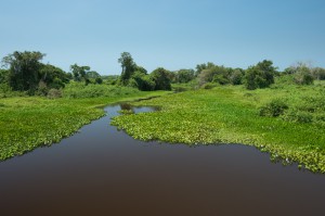 fotoresa Transpanthaneira road Pantanal Brasilien