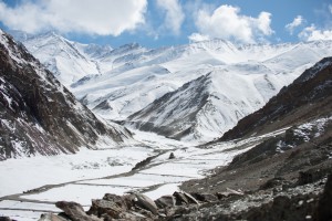 Himalaya snöleopard resa vandringsresa