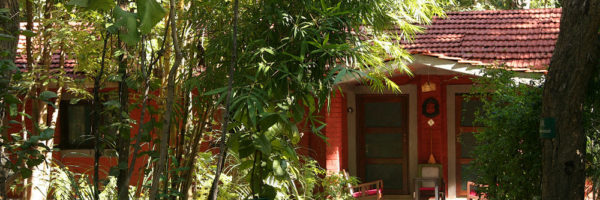 Kanha Jungle Lodge