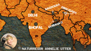 karta map red panda bhopal guwahati bagrogra dibrugarh