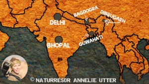 karta bhopal guwahati bagrogra dibrugarh