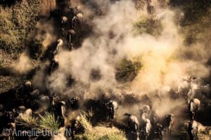 Gnuer Crossing