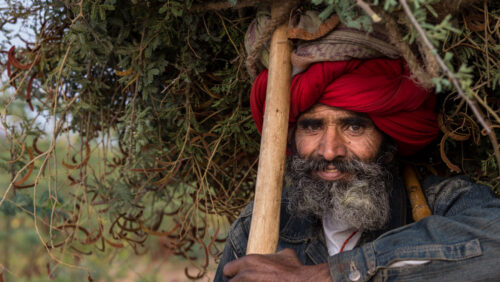 Man. Indien.